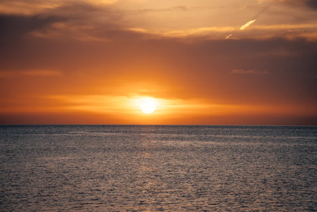 https://www.monkeyibiza.com
